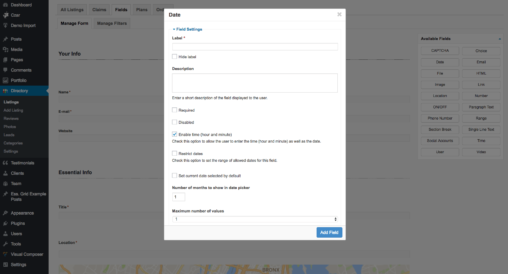 Date Field Basic Settings