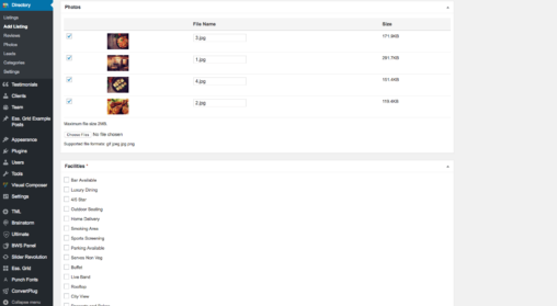 Add Listings In WordPress Dashboard Screenshot 3