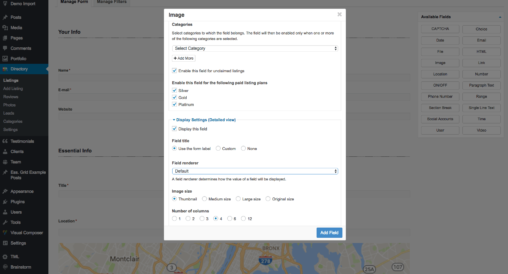 Image Custom Field Category And Display Based Settings