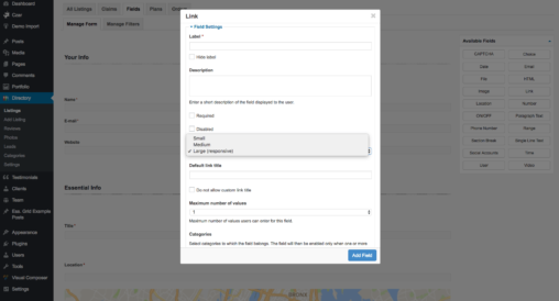 Link Field Basic Settings