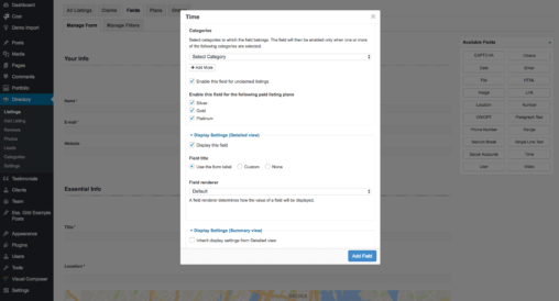 Time Field Category And Display Settings